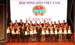 Tôn vinh các nhà khoa học của nhà nông