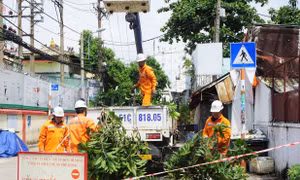 Ngành điện TP Hồ Chí Minh đảm bảo an toàn điện trong mùa mưa bão 