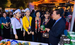 Khai mạc ngày hội Văn hóa - Du lịch tỉnh Hòa Bình tại Hà Nội năm 2021