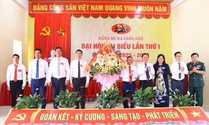 Ưu tiên trồng mắc ca, cà phê, cây dược liệu ở Sáng Nhè
