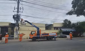 EVNHCMC: Chung tay xây dựng nông thôn mới ở TP Hồ Chí Minh