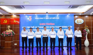 EVNSPC: Quyết tâm hoàn thành kế hoạch đầu tư xây dựng năm 2025