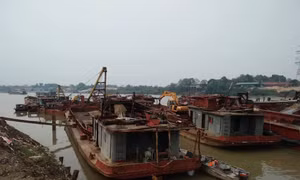 Bắt giữ hai tàu khai thác cát lậu trên sông Hồng