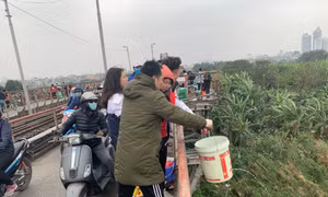 Thả cá chép tiễn ông Công, ông Táo về trời