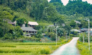 Điện Biên thay đổi diện mạo vùng đồng bào dân tộc thiểu số