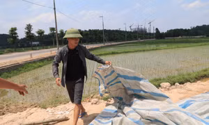 Người dân Nam Sơn dỡ lều bạt, xe chở rác bắt đầu hoạt động trở lại