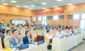 Công ty Điện lực Tây Ninh: Triển khai giá điện hai thành phần và giải pháp năng lượng tái tạo