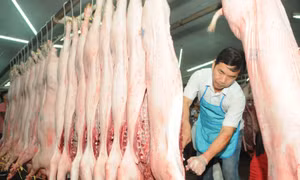 Giá thịt lợn bình ổn tăng mạnh, sức mua giảm sâu