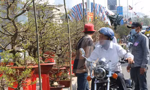 Tấp nập chợ hoa 'Trên bến dưới thuyền' tại TP Hồ Chí Minh