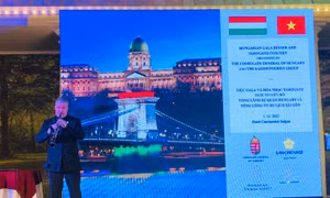 Hungary giới thiệu ẩm thực, âm nhạc truyền thống đến với người dân TP Hồ Chí Minh