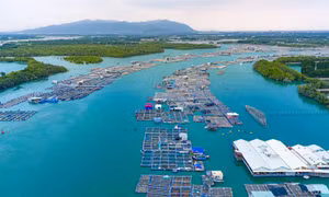 Du lịch TP Hồ Chí Minh chuyển mình nhờ công nghệ số