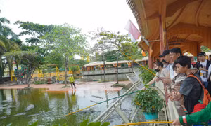 TP Hồ Chí Minh: Các điểm vui chơi, giải trí đông khách trong ngày nghỉ Tết Dương lịch