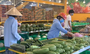 TP Hồ Chí Minh: Lương thực, thực phẩm không thiếu, nhưng việc cung ứng đến người dân gặp khó khăn 
