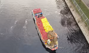 Tết thương hồ