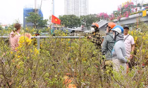 Chợ hoa xuân ‘trên bên dưới thuyền’ ở TP Hồ Chí Minh đông dần