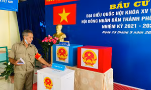 Cử tri TP Hồ Chí Minh cần tuân thủ các hướng dẫn nào khi đi bầu cử?