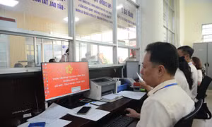 TP Hồ Chí Minh: Tạm dừng tổ chức đi công tác nước ngoài đối với cán bộ, công chức đến hết ngày 31/7