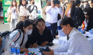 TP Hồ Chí Minh: Nhu cầu tuyển dụng lao động trình độ cao đẳng nhiều hơn đại học