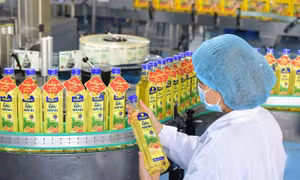 Tường An trở lại thị trường Tết 2025 với sản phẩm đa dạng