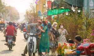 TP Hồ Chí Minh: Chợ hoa Tết giảm giá sớm trong ngày 29 Tết