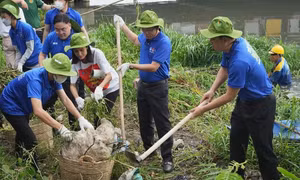 Tìm 'hạt giống' từ những sinh viên ưu tú để bồi dưỡng vào Đảng