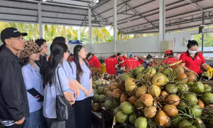 'Ươm mầm' cho sinh viên phát triển nông sản Việt