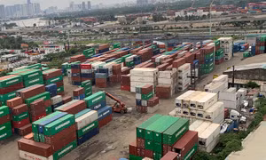 TP Hồ Chí Minh có 266 doanh nghiệp vi phạm về luật hải quan