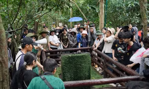 TP Hồ Chí Minh: Thế hệ trẻ về nguồn, giao lưu cùng các cựu chiến binh vùng 'đất thép'
