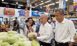 TP Hồ Chí Minh siết kiểm tra sản phẩm gắn nhãn Tick xanh