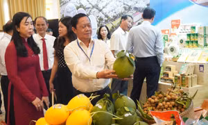 An Giang kêu gọi, xúc tiến đầu tư tại TP Hồ Chí Minh