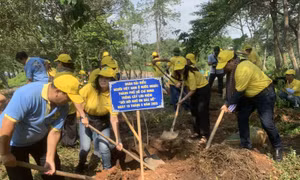 TP Hồ Chí Minh phát động 'Tết trồng cây đời đời nhớ ơn Bác Hồ'