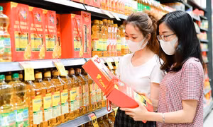 TP Hồ Chí Minh bắt đầu tổng điều tra kinh tế trên toàn địa bàn