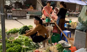 Thị trường rau củ, quả tại TP Hồ Chí Minh ổn định trong mùa dịch COVID-19