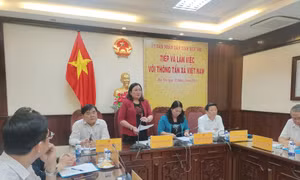 Tăng cường hợp tác thông tin giữa Thông tấn xã Việt Nam và tỉnh Bến Tre