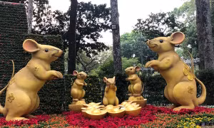 Hơn 4.000 loài 'kỳ hoa dị thảo' quy tụ tại Hội hoa Xuân TP Hồ Chí Minh