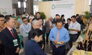 TP Hồ Chí Minh: Thúc đẩy chuyển đổi xanh để duy trì vị thế đầu tàu kinh tế