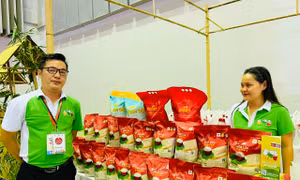 Hợp tác xã Tam nông Việt Nam hỗ trợ nông dân ổn định đầu ra