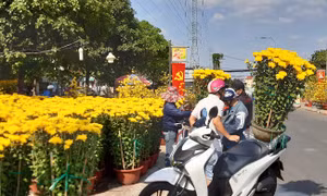 Các chợ hoa ồ ạt giảm giá trong ngày 30 Tết