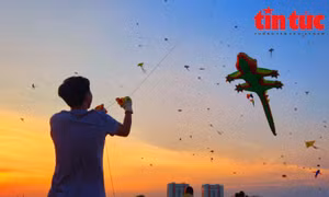 Ngắm những cánh đồng diều rộng lớn tại TP Hồ Chí Minh