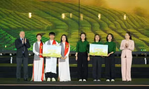 Thắp sáng tư duy khởi nghiệp trong chung kết cuộc thi Gen Tea 2025
