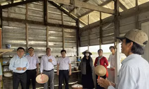TP Hồ Chí Minh cùng các địa phương thúc đẩy liên kết du lịch sau sáp nhập