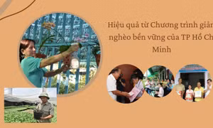 Hiệu quả từ chương trình giảm nghèo bền vững của TP Hồ Chí Minh