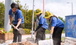 TP Hồ Chí Minh: Sinh viên đã phát huy sức trẻ, xung kích trong các chương trình tình nguyện hè