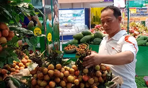 Mở rộng thị trường tiêu thụ các sản phẩm Việt có thế mạnh