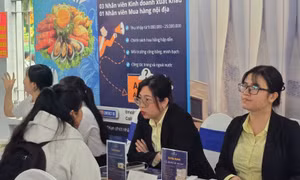 TP Hồ Chí Minh đối mặt nghịch lý thiếu người, dư thất nghiệp