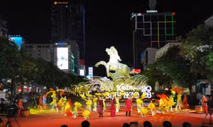 TP Hồ Chí Minh: Khai mạc Đường hoa Tết Bính Ngọ 2026