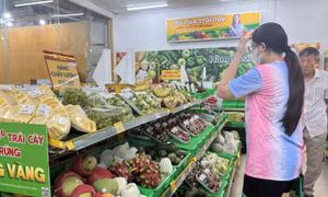 TP Hồ Chí Minh: Lần đầu tiên tổ chức hội chợ, triển lãm sản phẩm nông nghiệp tiêu biểu