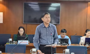 TP Hồ Chí Minh: Dự án Khu đô thị Bình Quới - Thanh Đa đạt hơn 95% ý kiến đồng thuận