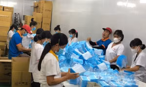 TP Hồ Chí Minh kiểm tra các mặt hàng khẩu trang y tế, khẩu trang vải