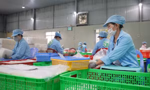 Doanh nghiệp 'biến' nông sản địa phương thành sản phẩm xuất khẩu